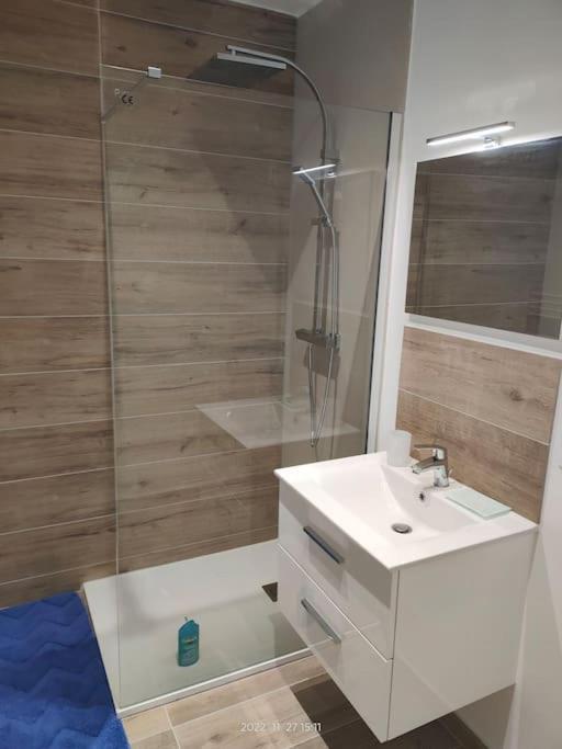 Logement Complet A Villeurbanne Exterior photo